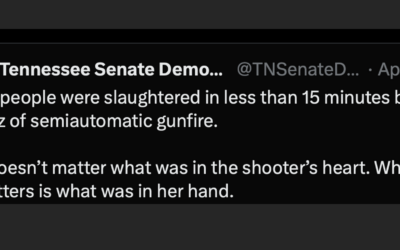 Do Tennessee Democrats appear to want to ban ALL semi-automatic guns? It certainly looks like it.