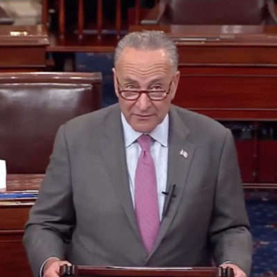 Senate Democratic Leader Chuck Schumer (NY) urges Democrats to hide views on gun control because of 2018 elections
