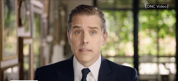 Comment on Gun Charges Filed Against Hunter Biden