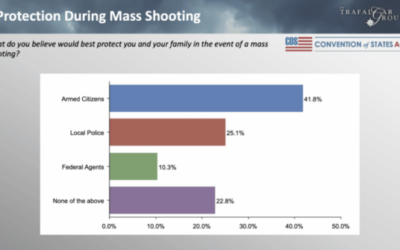 A plurality of Americans believe that armed citizens are the best way to protect you and your family in the case of a mass shooting