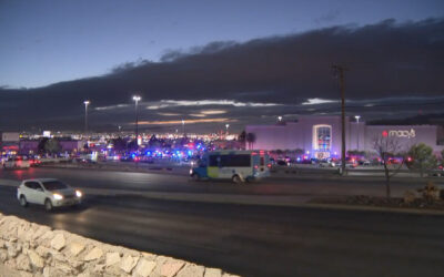 Concealed Handgun permit holder stops mass public shooter at a mall in El Paso, Texas