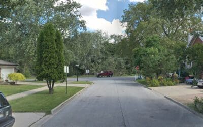 Armed civilian rescues mailman from robbery