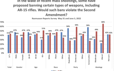 Americans are divided on whether to ban “assault weapons”: Survey