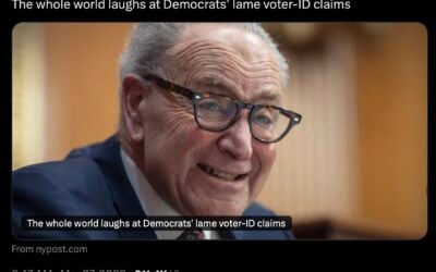 Karoline Leavitt Retweets Another One of Our Opinion Pieces, this time on the SAFE Act and Democrat claims about Voter IDs