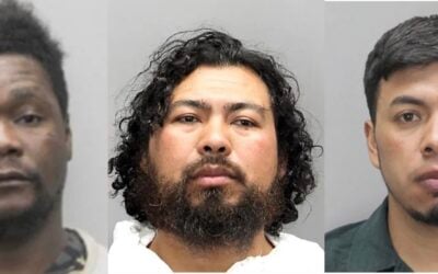 75% of all murders in Fairfax, Virginia this year have been committed by criminal aliens.